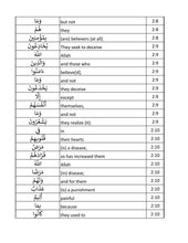 The Glorious Quran Word for Word In Table Form