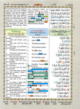 The Holy Quran Colour Coded Arabic Text and Transliteration with English Translation