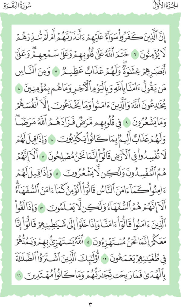 Digital Copy of the Holy Qur'an of Mus'haf al-Madinah  - Hafs Narration in AI Vector Format