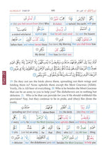 Holy Quran Word for Word English Translation (Color)
